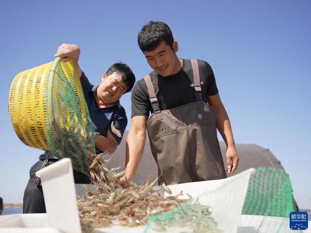 游戏鹰官网是哪个